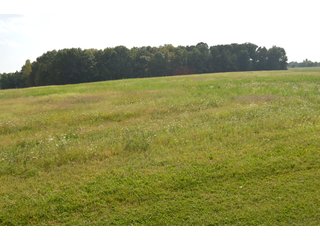 Dekalb County, Indiana Farmland - MAJOR LAND AUCTION - 516+/- ACRES OFFERED IN 18 TRACTS OR COMBINATIONS IN DEKALB COUNTY, INDIANA